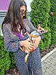 Жилетка для собачки, світловідштовхувальна, з гербом України Сіра, фото 4