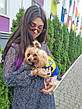 Жилетка для собачки, світловідштовхувальна, з гербом України Сіра, фото 2