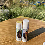 Набір 3 шт Бальзам для губ з маслом какао, фото 6