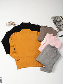 055-2 Жіночій гольф норма МІКС