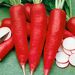 Насіння Редька Остергрюс рожева 2г