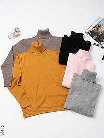 051-2 Жіночій гольф півбатал МІКС