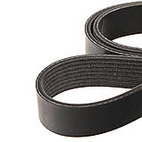 Ремінь приводний 12,7L FORD 1842, 1848, 3542D, 3542T, 4142D, F-MAX (в-во DAYCO) 185541.81790 GC466C301CB, фото 2