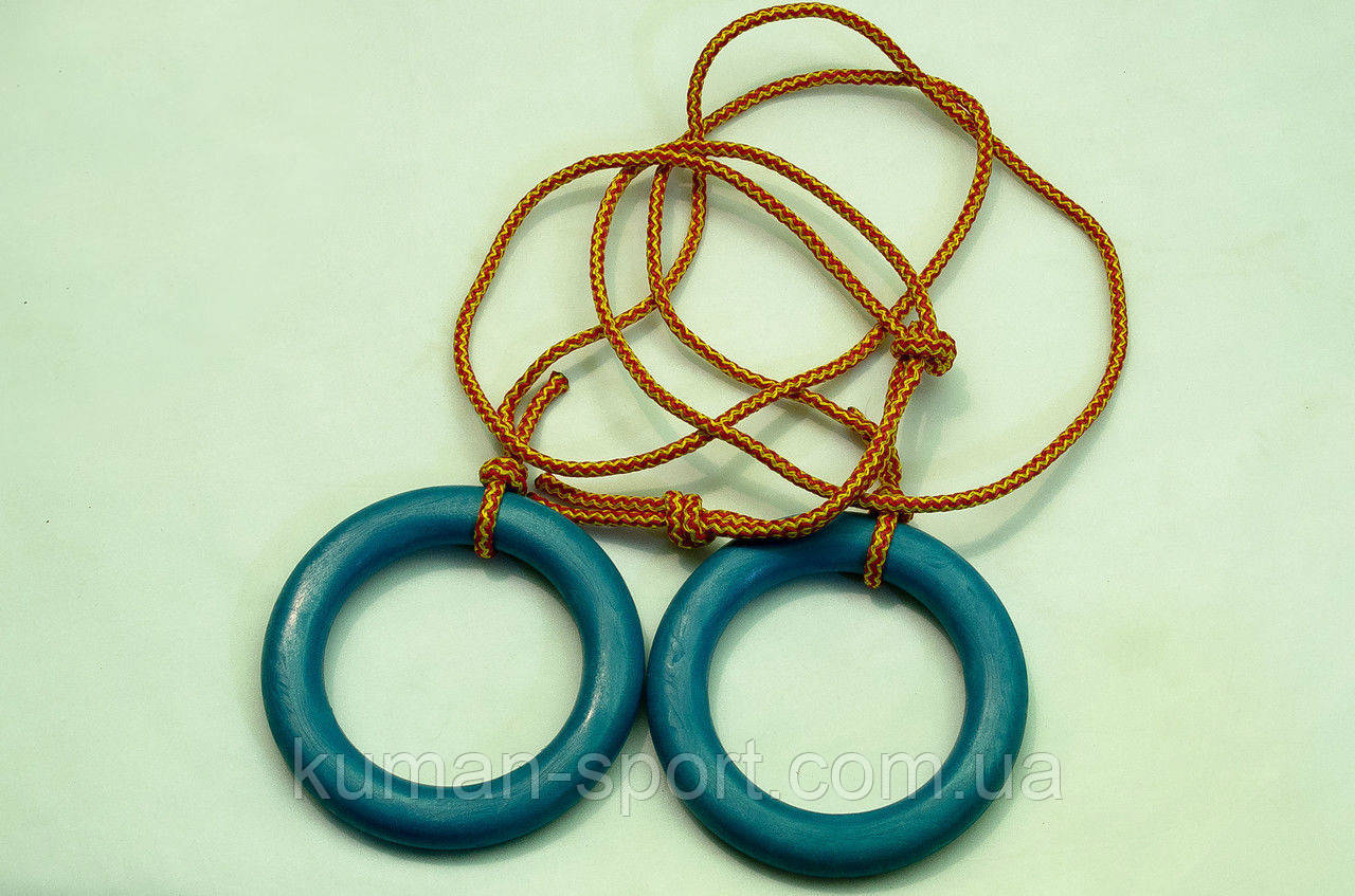 Кільця навісні гімнастичні (пластик) Україна, фото 1