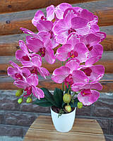 Латексные орхидеи для декора