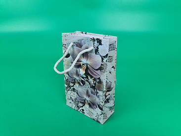 Пакет паперовий подарунковий малий 11/18/5 (арт М123) (12 шт.)