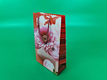 Паперовий пакет подарунковий Середній 17/26/8 (артSV-092) (12 шт.)