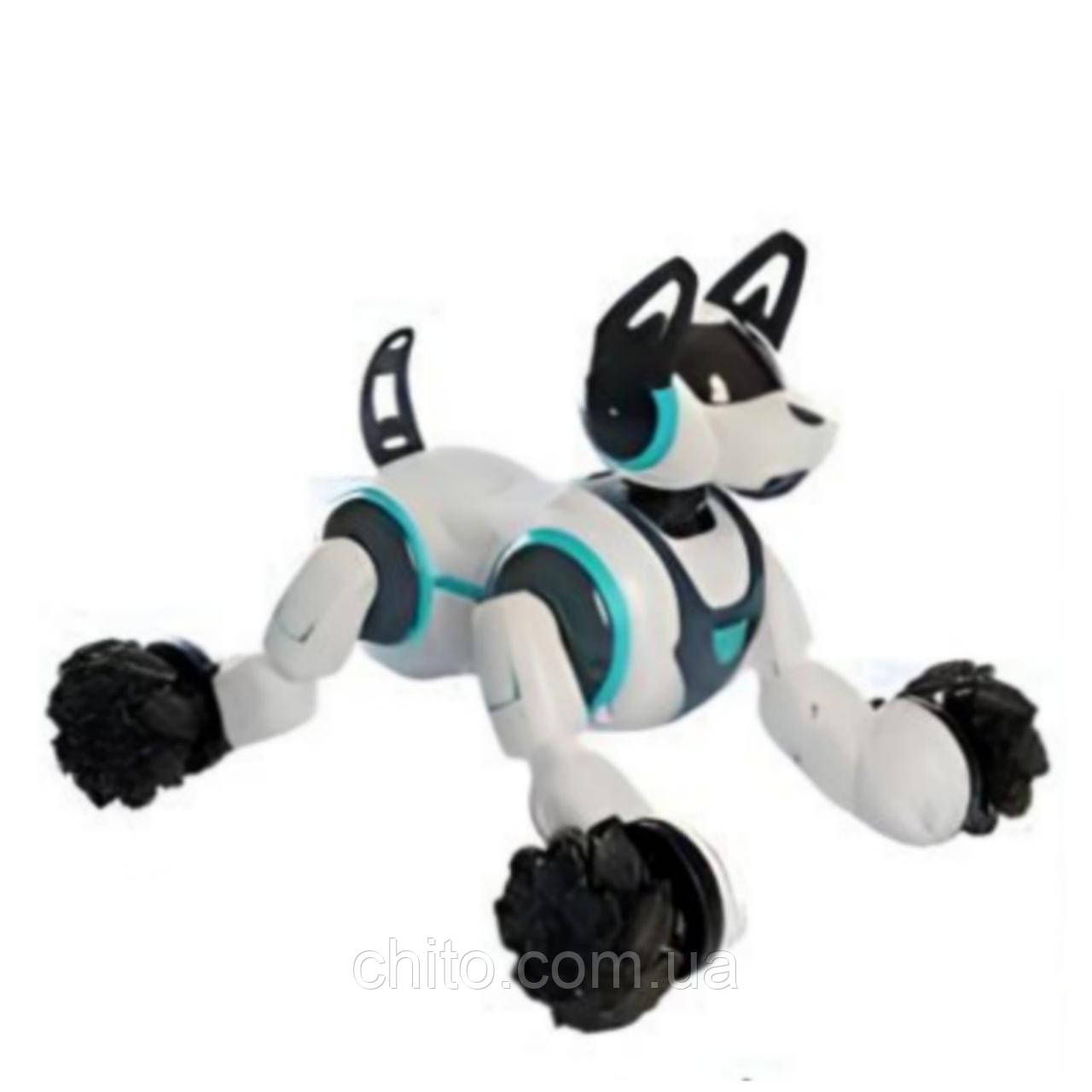 Робот Dog з пультом керування 666-800A Білий, фото 1