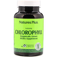 Комплекс для пищеварения Nature's Plus Natural Chlorophyll 90 Veg Caps NTP1080 GS, код: 7645866