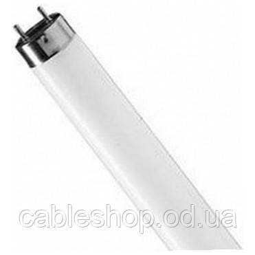 Лампа люмінесцентна TL-D 36 Вт 33 G13 Philips