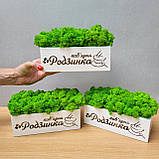 Біле кашпо зі стабілізованим мохом та нанесенням логотипу/назви від 20 см, фото 2