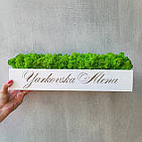 Біле кашпо зі стабілізованим мохом та нанесенням логотипу/назви від 20 см, фото 4