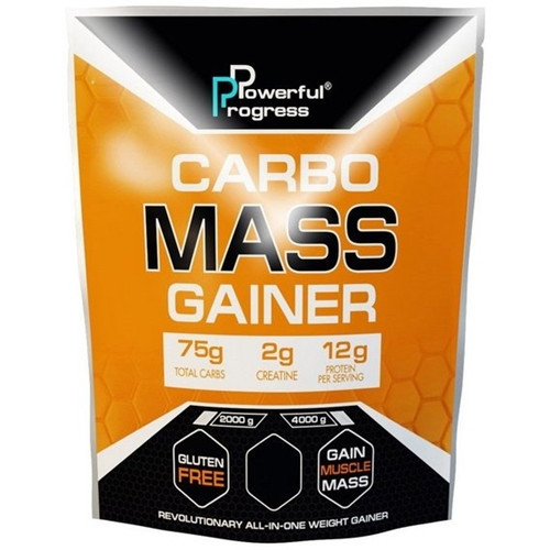 Гейнер Powerful Progress Carbo Mass Gainer 4000 g 40 servings Hazelnut DM, код: 7520799 - фото 1 - id-p1923953710