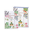 Зволожуюча маска для обличчя Petitfee Resurrection Plant Soothing Gel Mask 30g x10шт, фото 2