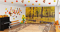 Осенние Фото Шторы в детский сад "Осенний лес" - Любой размер! Читаем описание!