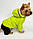 Зимовий комбінезон для собак «Дог», салатовий, зимовий одяг для собак дрібних, середніх порід, фото 9