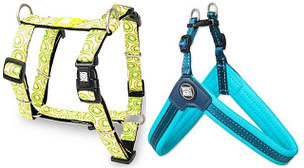 Max & Molly шлейки