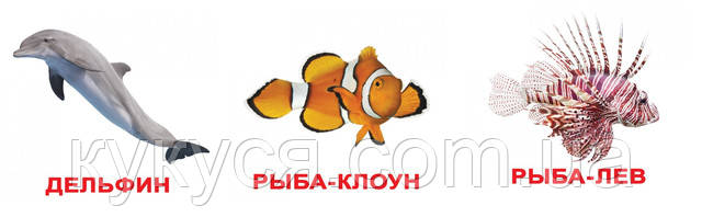 Розвиток Домана для самих маленьких Картки розвиваючі Мешканці води