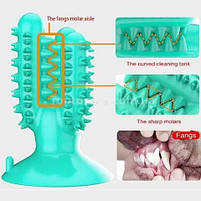 Іграшка для собак КАКТУС на присосці в асортименті, фото 4