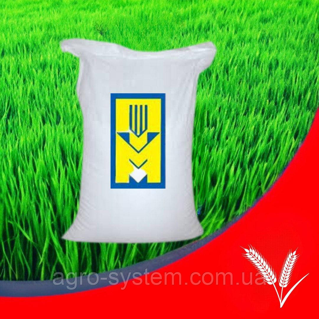 Озима пшениця дворучка Шестопалівка еліта остиста Миронівський інститут пшениці Українська селекція, фото 1