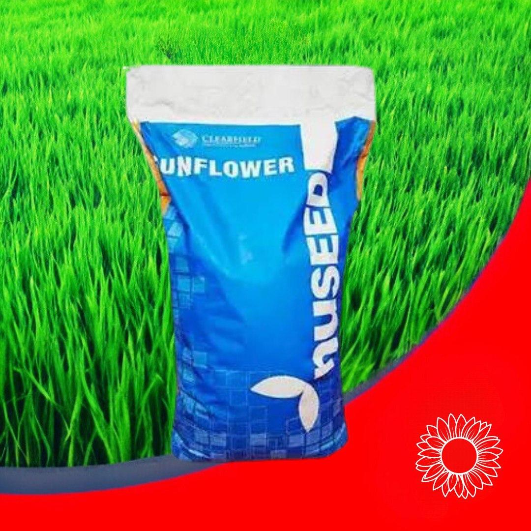 Насіння соняшнику Камаро 2, фото 1