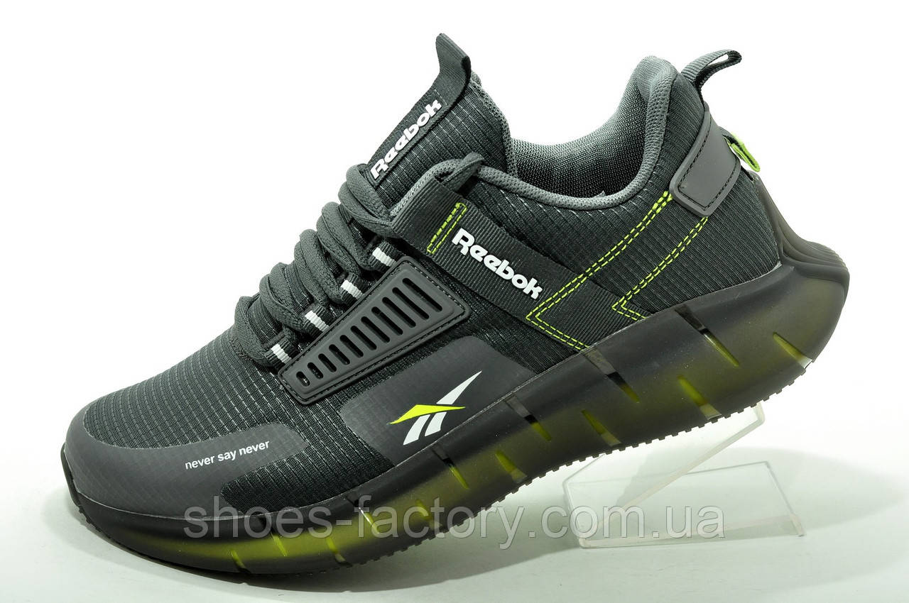 Кросівки Reebok Zig Kinetica сірі чоловічі