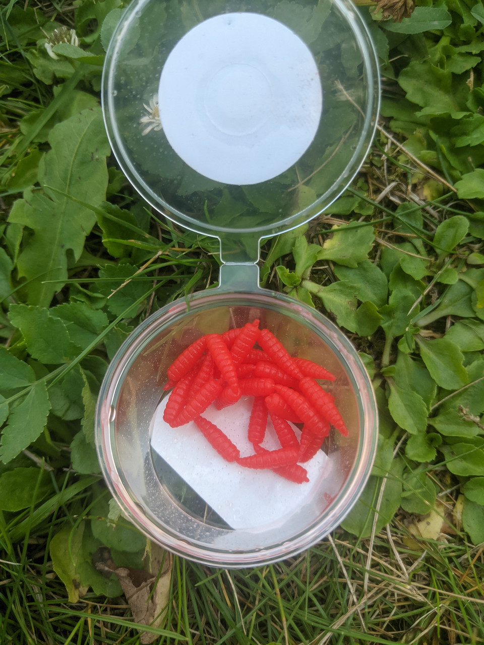 Опариш силіконовий плавальний Червоний банка 30 шт., фото 1