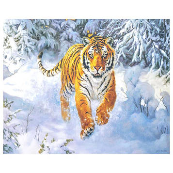 Алмазна мозаїка на підрамнику картина стразами 30х40 см DIY Амурський тигр (SGLD 61282)