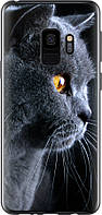 Чехол на Samsung Galaxy S9 Красивый кот "3038u-1355-9409"