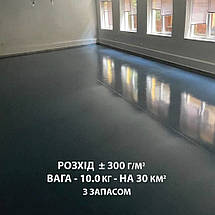 Епоксидна підлога для тераси 10 кг на 30 м2 графіт kings.in.ua, фото 3
