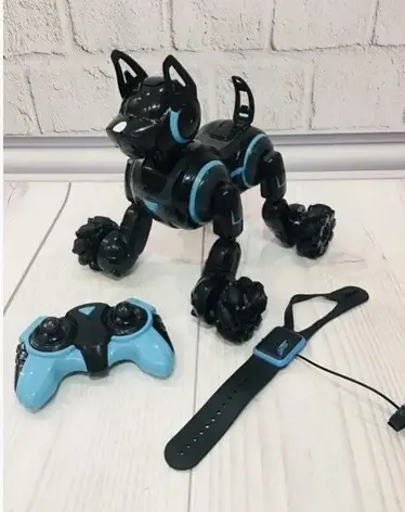 Робот собака з пультом дистанційного керування Stunt Dog 666-800A (інтерактивна іграшка), фото 1