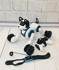 Робот собака з пультом дистанційного керування Stunt Dog 666-800A (інтерактивна іграшка), фото 3