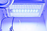 Гроубокс Стелс із ДСП з LED фітолампою для вирощування рослин у розмірі і кольорі під замовлення, фото 5