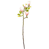 Искусственная веточка Магнолия - 4 цветка, 68 см, бело-розовый, полимерный материал (632410)