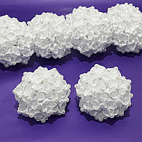 Білі банти в школу