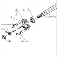 57548B5 Гайка корончаста M48X1,5 WR65 H38