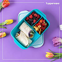 Контейнер Ланч-бокс Перекус із роздільником Tupperware 1л герметичний бірюзовий Тапервер