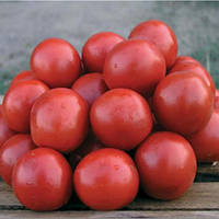 Насіння томату Солероссо F1, 50 шт., низькорослого, ТМ "ЛедаАгро"