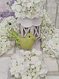 Головка гортензії декоративна біла, d квіточки  16 см, Польша, фото 3