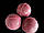 М'яч метання, обвід 19.5 см, Ø 6.2 см, вага 190 г, різн. кольору, фото 8
