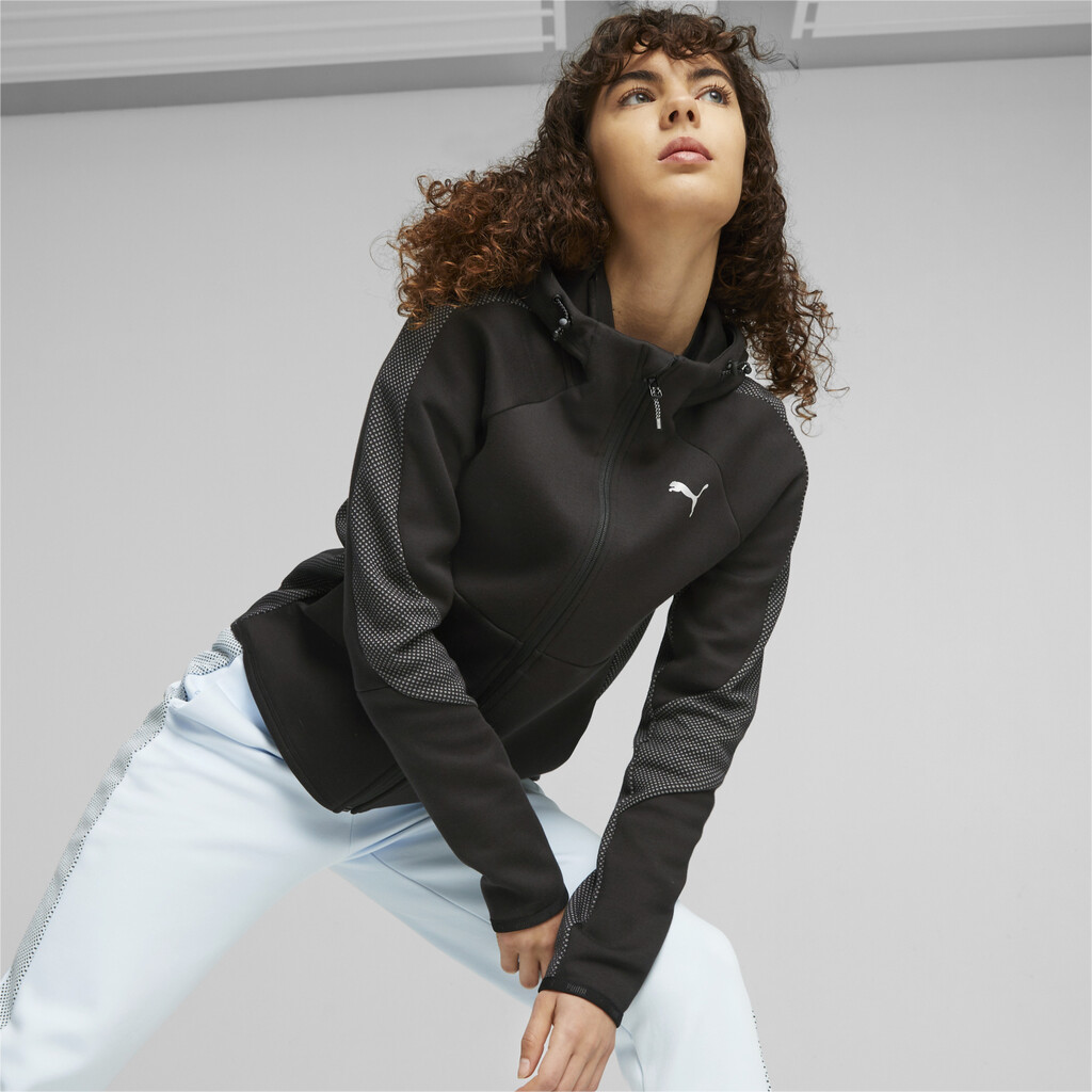 Puma clearance evo hoodie