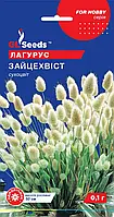 Лагурус Зайцехвіст злаковий сухоцвіт однорічний, упаковка 0,1г