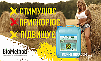 ДЕСТРУКТОР СТЕРНІ
