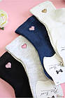 ОПТОМ Шкарпетки "Tiny Heart" для дівчинки (22-24(35-38) см.)  Pier Lone 8681788565961, фото 3