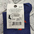 Шкарпетки жіночі високі весна/осінь р.23-25 маки асорті ЕКО 30038158, фото 4