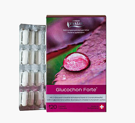 Капсули Глюкохон форте Vivasan Glucochon Forte 120 капсул