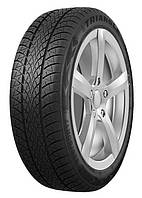 Шини зимові 185/70 R14 88T Triangle WinterX TW401