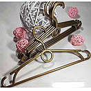 Пластикові плечики 41 см золото вішалки тремпеля для одягу 5 шт Польща, фото 4