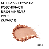 Мінеральні Рум'яна розсипчасті Blush Minerals Paese 6g (301N) dusty rose, фото 2