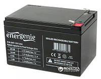 Акумуляторна батарея Energenie 12V 12AH